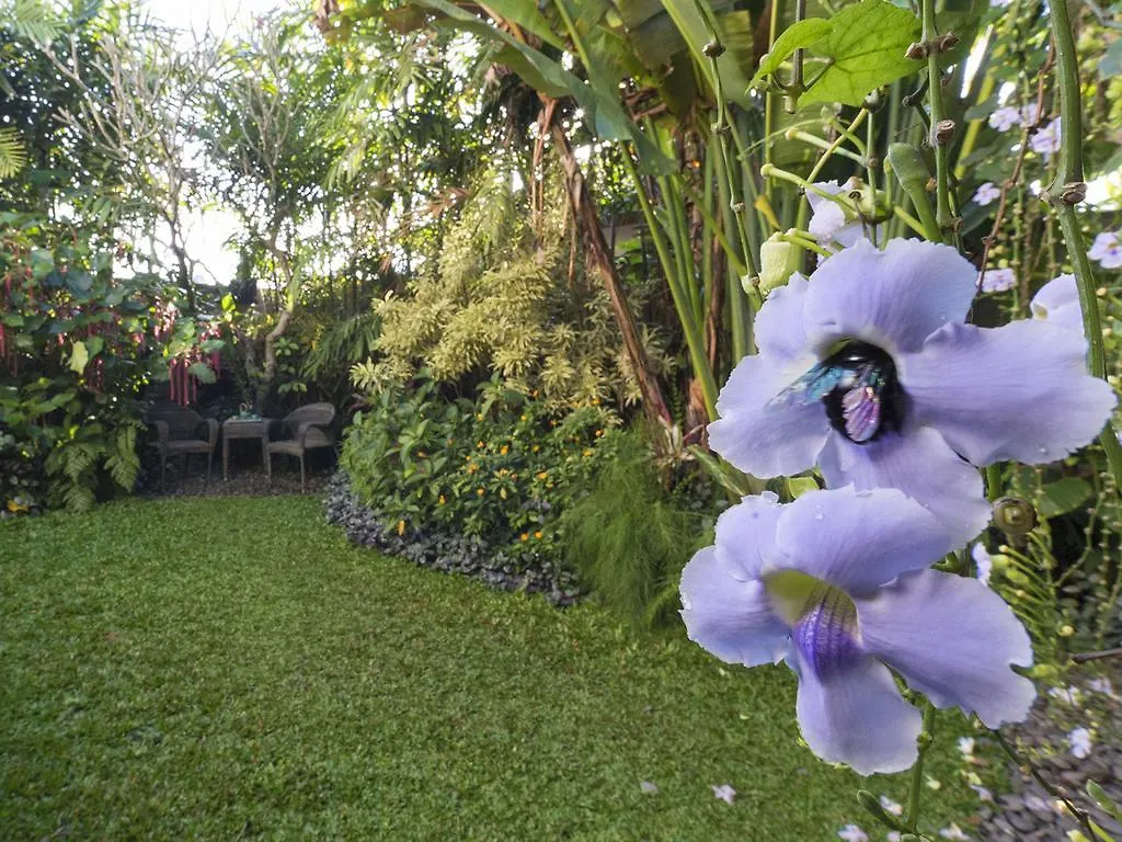 Shinta Dewi Ubud Villa By Sanga Sanga Hospitality Indonesia